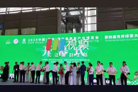 IN视频｜中国春茶旗舰展！第29届深圳春季茶博会在深圳会展中心开幕图片