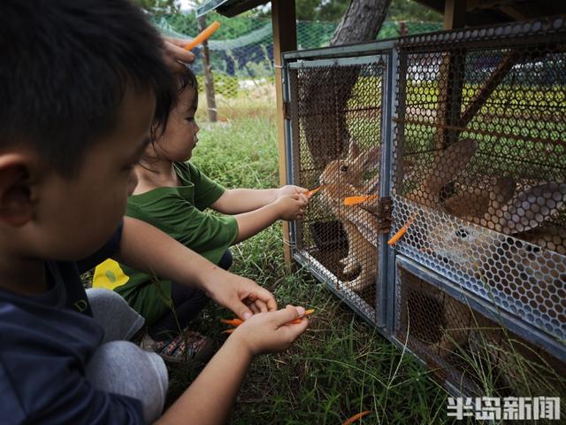 这里是青岛｜青岛西海岸新区喜洋洋与灰太狼公社正式开园