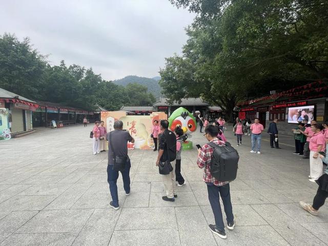 登高问鼎！今天，鼎湖山很热闹！