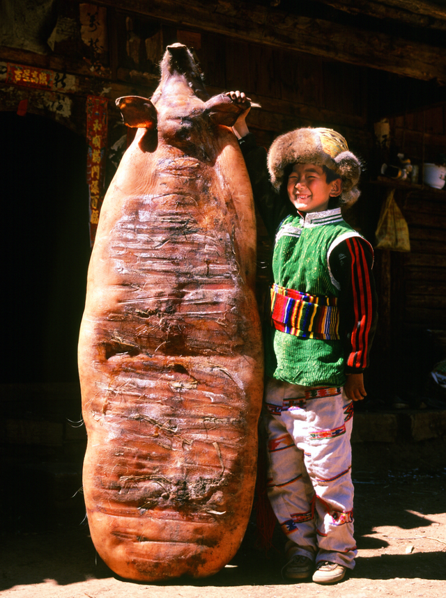 【冬季暖阳 凉山不凉】冬天的盐源！这不是仙境是什么