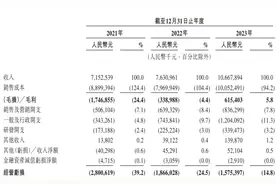 IPO观察︱曹操出行递表港交所，网约车市场排第三，李书福为实控人图片