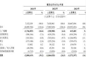 IPO观察︱曹操出行递表港交所，网约车市场排第三，李书福为实控人图片