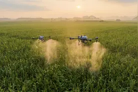 农业无人机拓宽新场景，大疆发布 T60、T25P 两款无人机图片