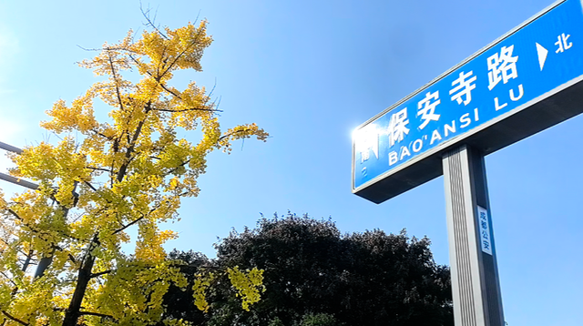 赶紧拍照去！龙泉驿出片指南来了→