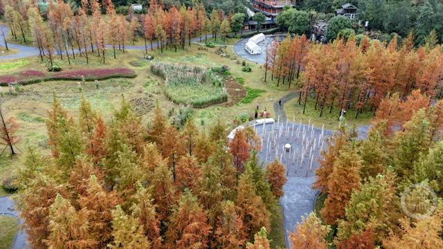 “口袋公园”冬景美