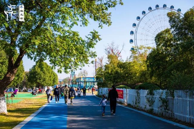 秦淮citywalk｜七桥瓮湿地公园