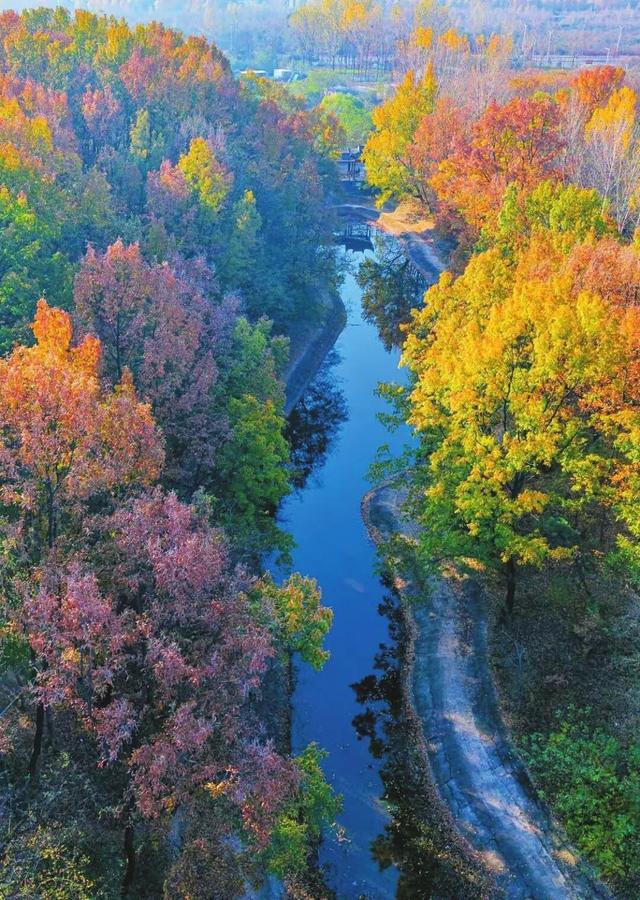 溪如画，影成诗……被舜耕山的初冬美景治愈了！