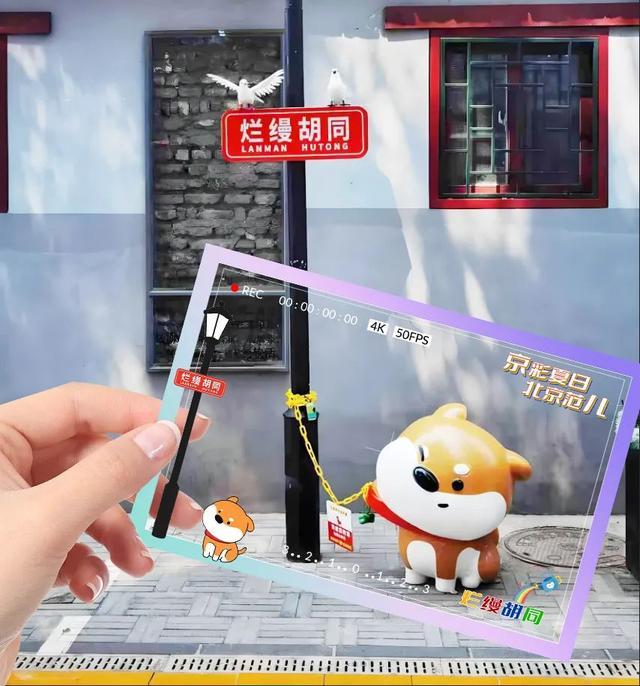 胡同里的夏日惊喜！小透卡拍大片，北京文旅邀您来打卡