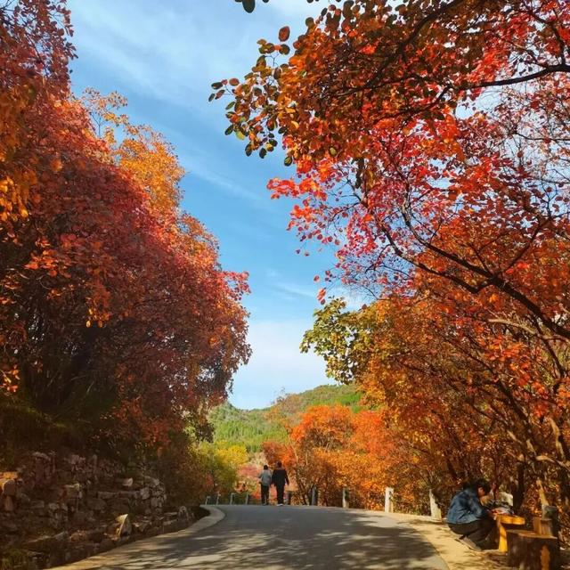 从云端到山野，济南这两地入选省级案例！你打卡过吗？
