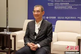 林毅夫谈经济新挑战：发挥好比较优势就会有竞争力图片