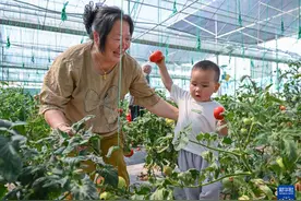 重庆璧山开启夏季都市休闲农业嘉年华图片