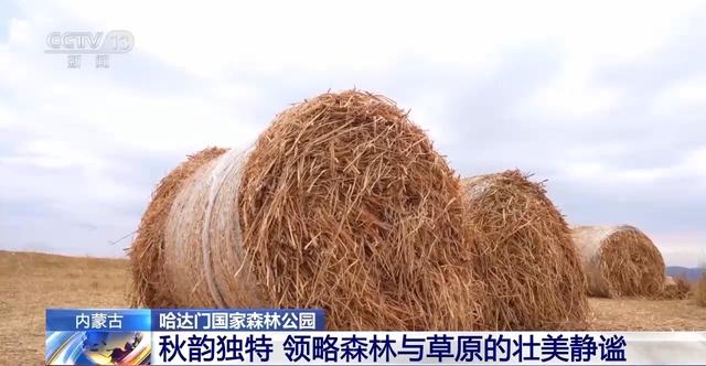 北方多地最美秋色已“上线” 一起感受浓浓秋韵