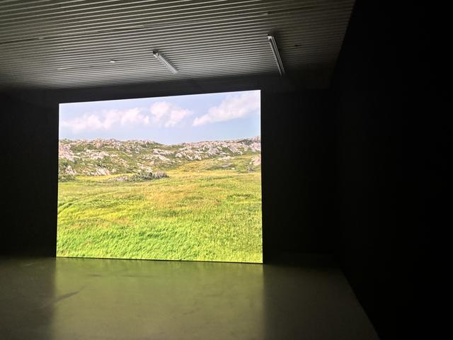 PSA变身“花园”？第十五届上海双年展开幕，超250件作品亮相