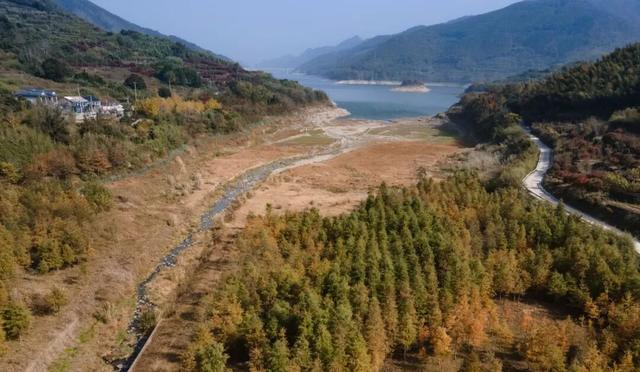 Hi走奉化② | 这条小众赏秋路线，藏有古树群“天花板”！