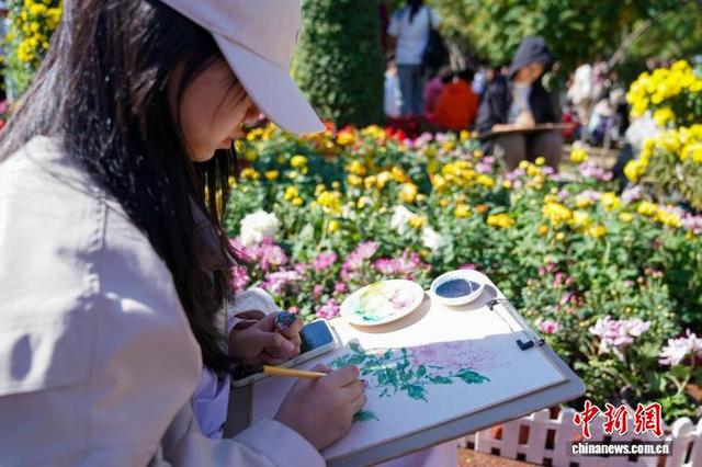 黑龙江哈尔滨：7万盆菊花打造秋日盛宴
