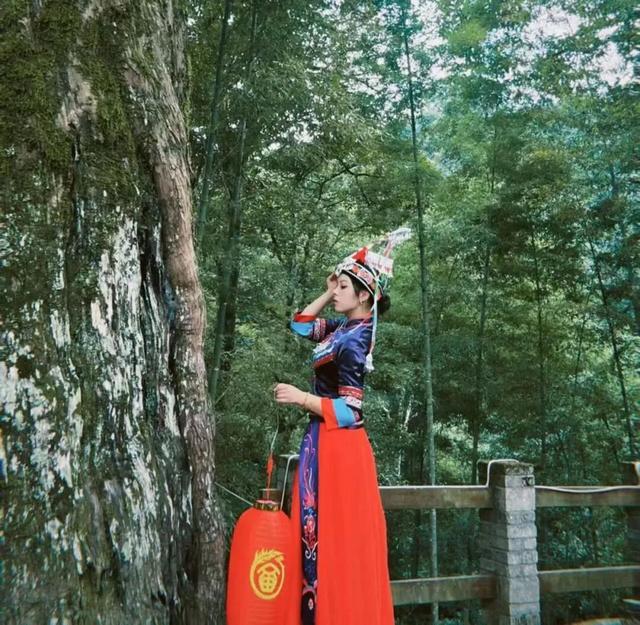多家媒体聚焦三明！三明双节玩出花，非遗、美食、古风全拿捏