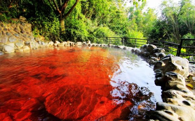 首次发布！弥勒2地2酒店上榜！