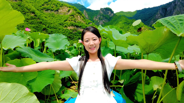 优享盛夏 清凉白山 | 长白县的荷花也太会了吧！这泼天的浪漫我接住了～#长白山下长白县