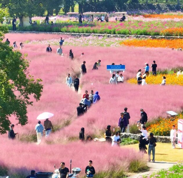 全省游客+全国持证厨师，宿迁这些景区免费游啦！
