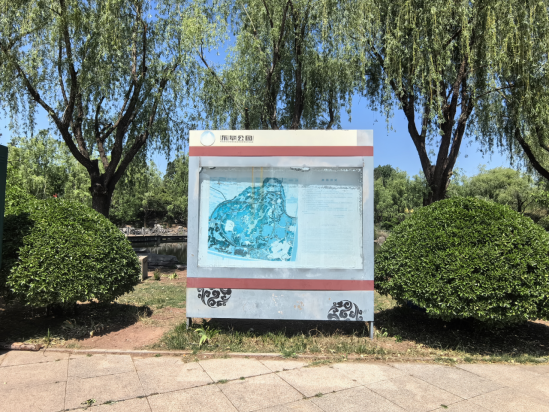 焕新归来！沂水东皋公园：四季有景夜有光 古塔生辉美出圈