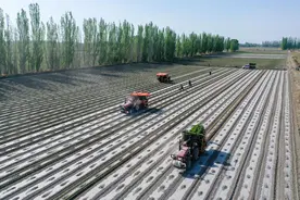 科技绘就新疆春耕新图景图片