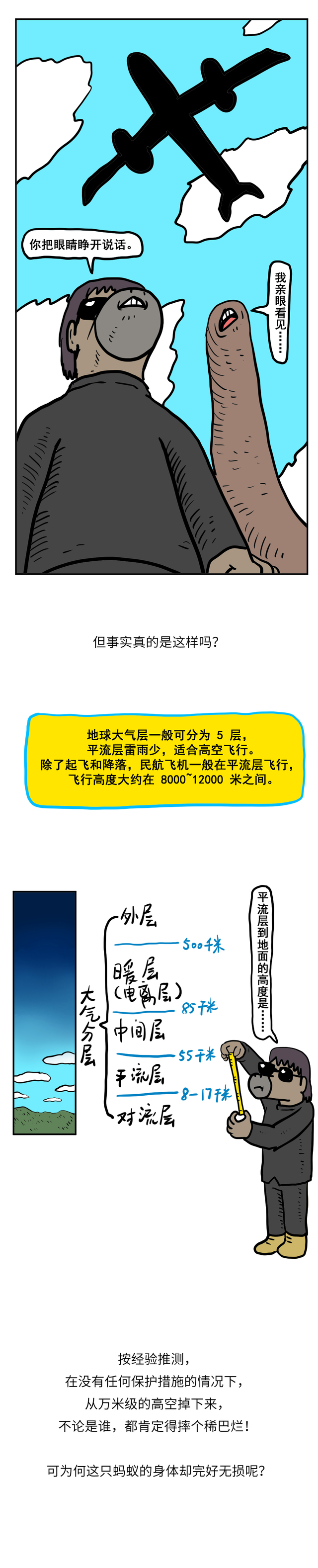 假如蚂蚁从飞机上掉下，不会摔死吗？