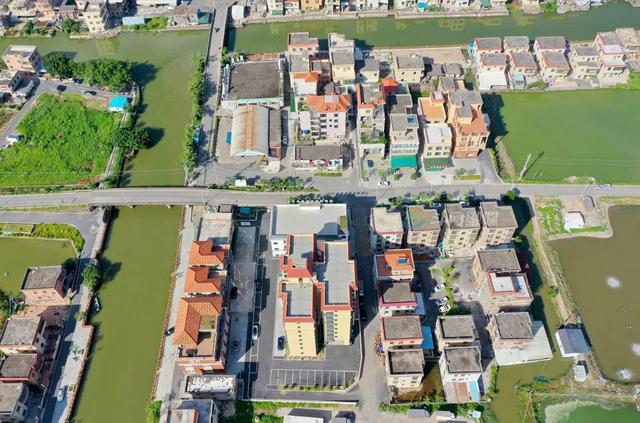 小斗湖鳘鱼胶效果 2026年斗湖鱼胶的功效与作用