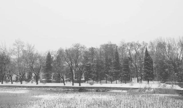 京郊冬日疗愈之旅 | 解锁北京小汤山医院绝美雪景