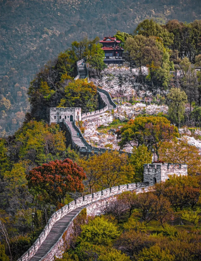 临海频出网红打卡点，解码台州府城的“流量炼金术”