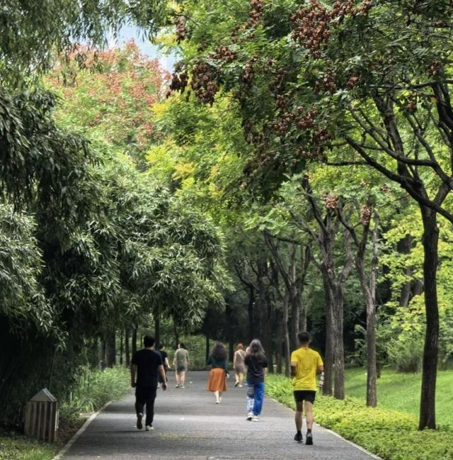 亦城寻秋：那些藏在光影与烟火里的→