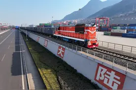 外国消费者“在家门口买到中国年货”图片