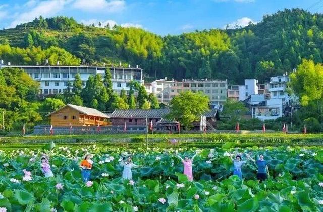 福鼎这里藏着一座“四季画廊”……