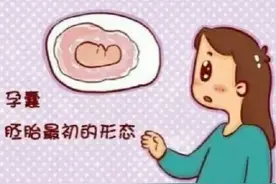 孕妈B超单子上的“胎囊（孕囊）”是什么意思？图片