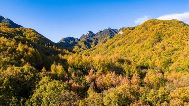 别再问了！洛阳秋色天花板，就藏在这里→