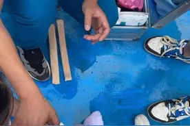 知名综艺，突发意外！这类活动千万小心！图片