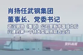 肖扬任武钢集团董事长、党委书记图片