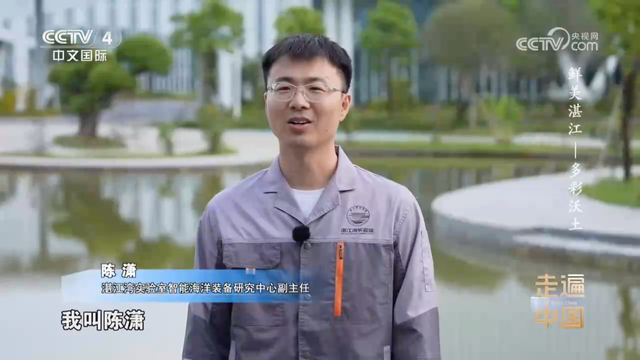 央视镜头下的多彩湛江，以海为媒绘就农文旅融合新图景