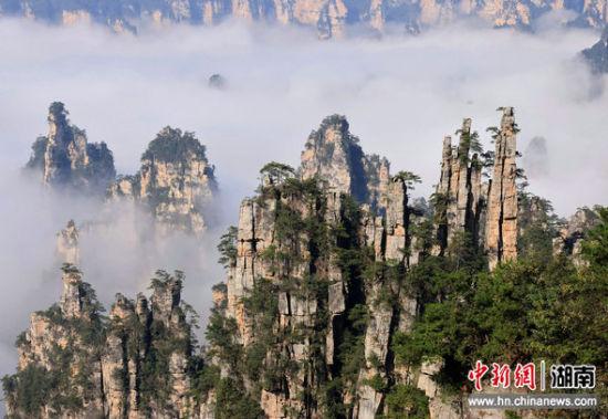 湖南张家界：峰起云间醉游人