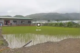 第三轮中央生态环境保护督察｜嵩明县“一日办结”群众投诉 违规用地复耕复种图片