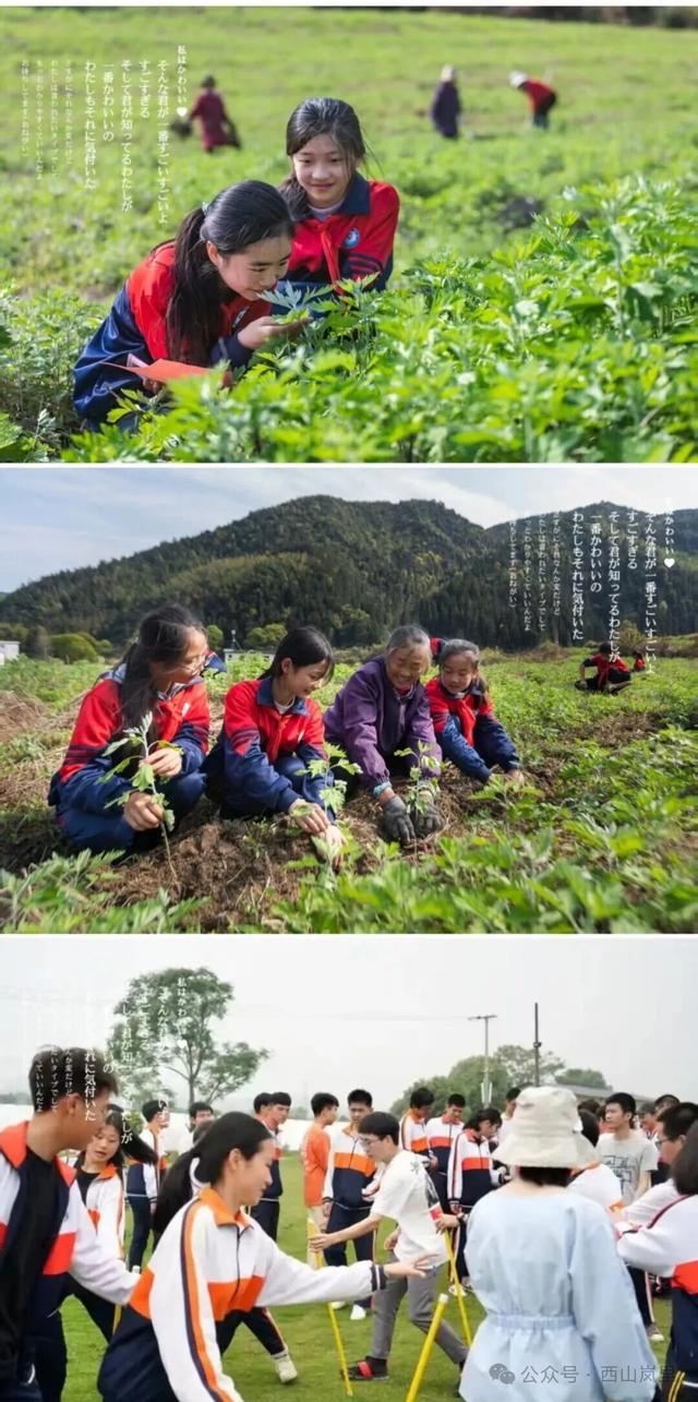日照一全新打卡地！也太美太治愈了吧！