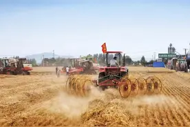 肥城：麦收过后秸秆有“新生”图片