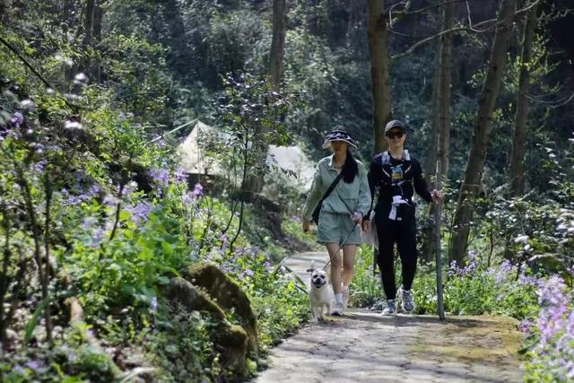 藏在山水田园中的疗愈天堂和趣玩胜地！葛仙山镇打造近郊旅居消费优选地