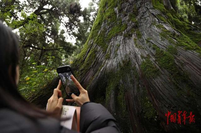 过别样记者节 四川邀记者探访古蜀道的生态密码