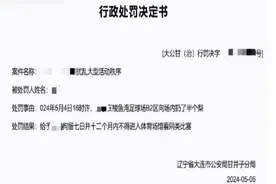 【足球】大连球迷扔半个梨被罚：拘留7日并1年不得进场观赛图片