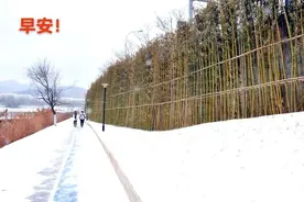 暴雪路上的外卖小哥图片