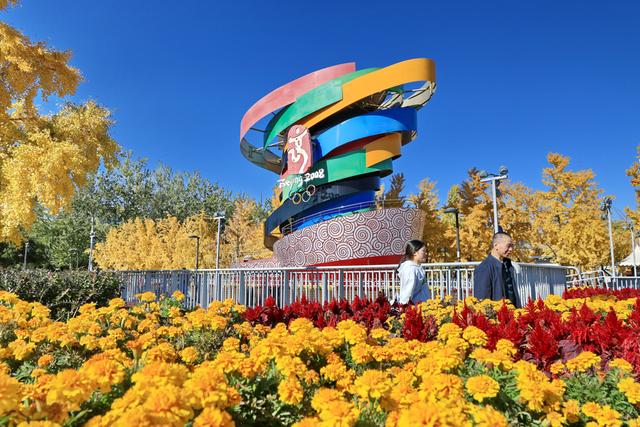 北京:银杏金黄秋意浓