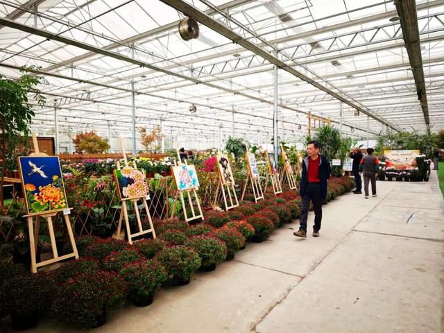 限时开启！花展进行中，还可以带回家→