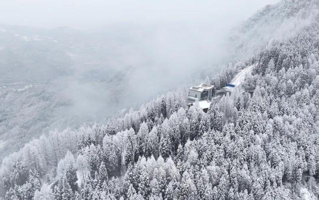 雪山、温泉、潮玩、美食……第12届宝山冰雪温泉嘉年华开幕