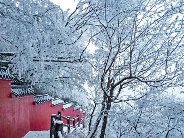 河南文旅雪后盛景：银装素裹绘就“一半仙境，一半人间”画卷