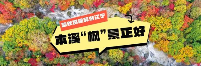 层林尽染、漫山绚烂，这就是辽东的秋天！